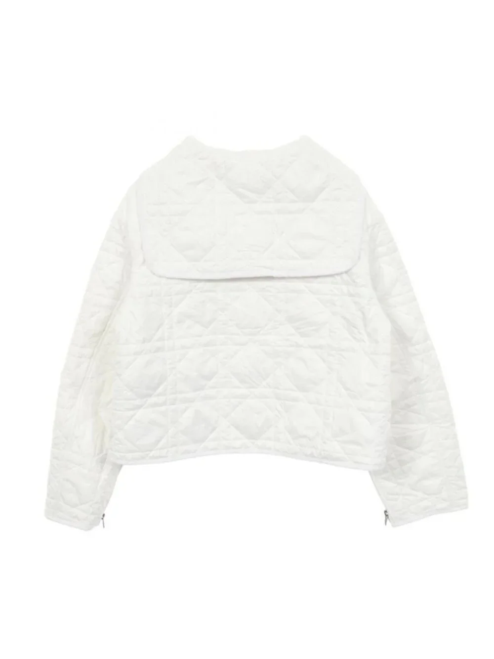 Dior Bee Embroidery Cannage Jacket